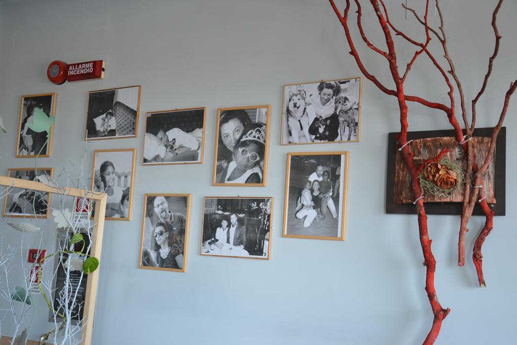 Hotel Corallo רימיני מראה חיצוני תמונה
